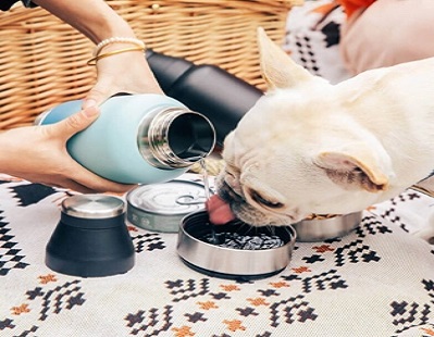 Botella de agua para perro Everich: priorizar la salud y la felicidad de las mascotas